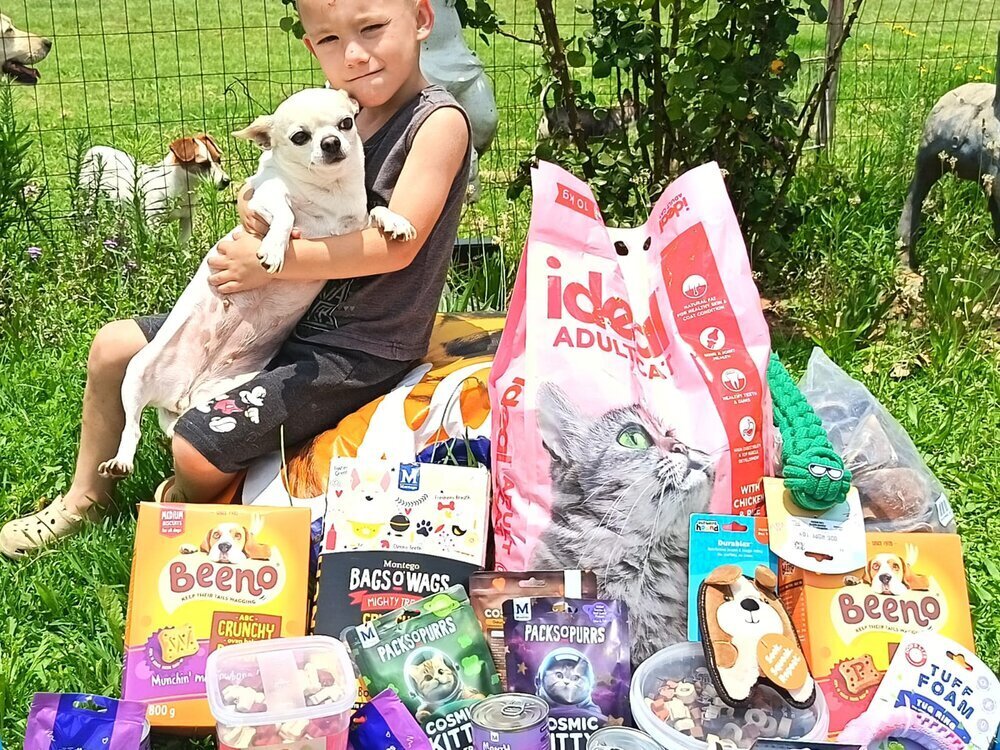 Chihuahua Drop Off